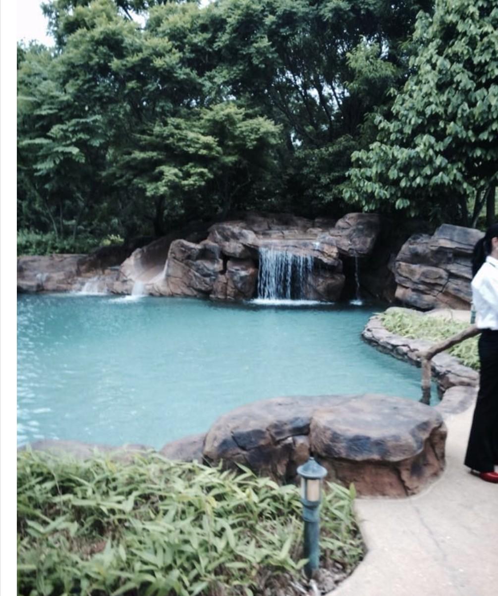 A landscaped pool with a rock waterfall at the property where Wayne Partello had dinner.